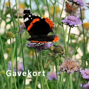 Gavekort