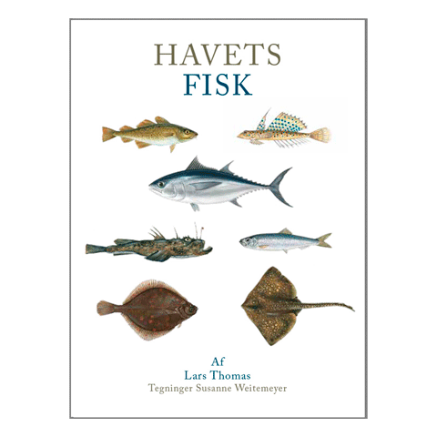 Havets fisk