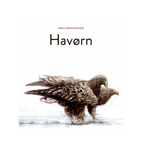 Havørn