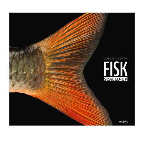 FISK