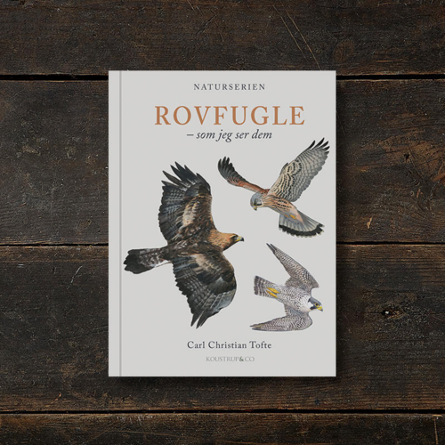 Rovfugle – Som jeg ser dem