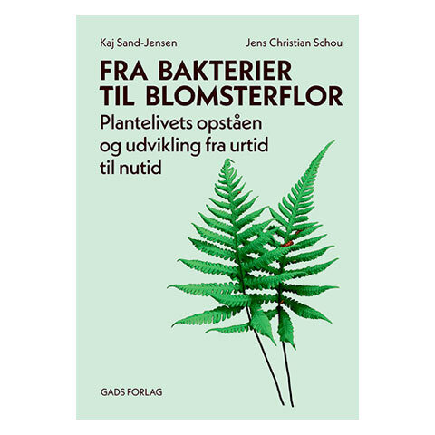 Fra bakterier til blomsterflor