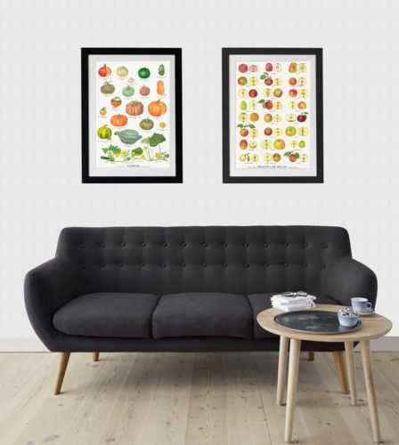 A2 Plakat - Æbler