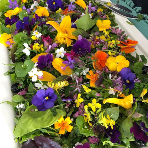 Fantasilater - eventyrlige blomstersalater