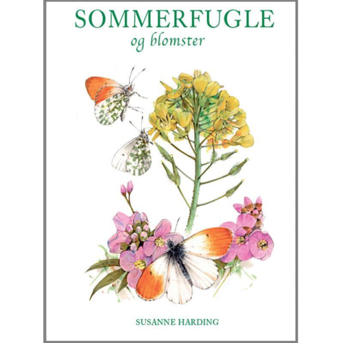 Sommerfugle og blomster