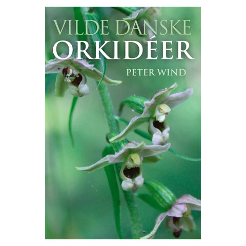 Vilde danske orkideer