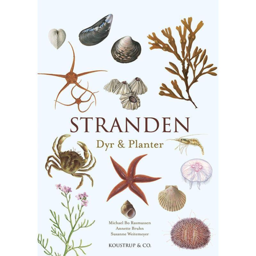 Stranden - Dyr og planter