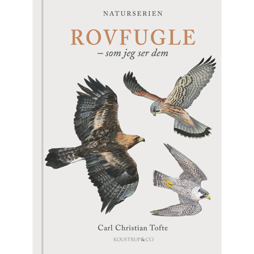 Rovfugle – Som jeg ser dem