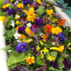 Fantasilater - eventyrlige blomstersalater