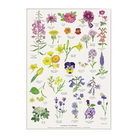 A2 Plakat - Spiselige blomster