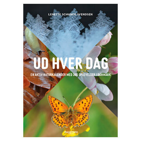 Ud hver dag