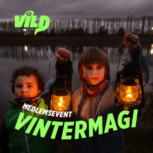 VILD vintermagi - Roskilde