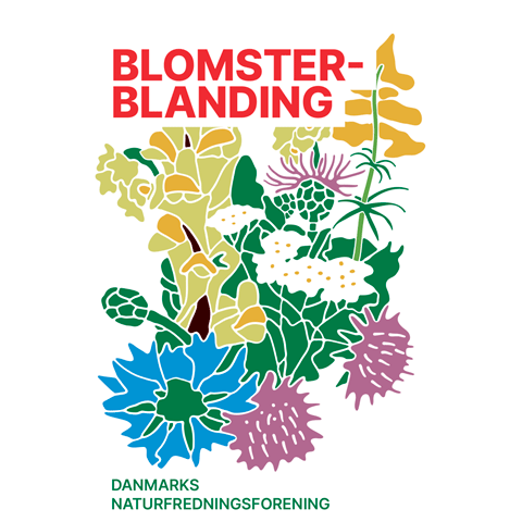 DN's Blomsterblanding