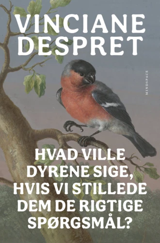 Hvad ville dyrene sige, hvis vi stillede dem de rigtige spørgsmål